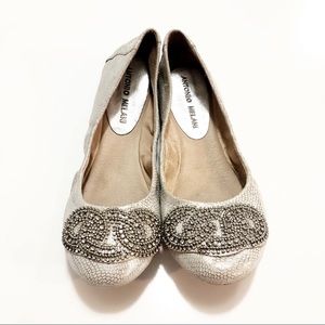 Antonio Melani Silver Leather Ballet Flats
